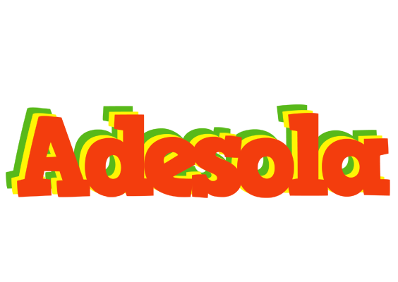 Adesola bbq logo