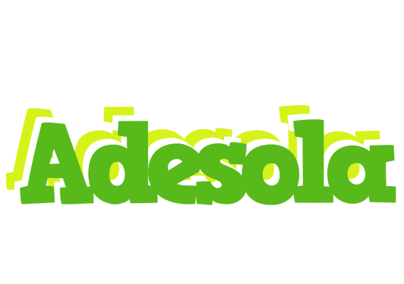 Adesola picnic logo