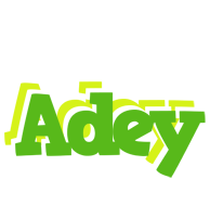 Adey picnic logo