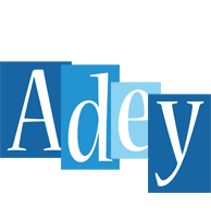 Adey winter logo