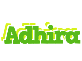 Adhira picnic logo