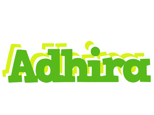 Adhira picnic logo