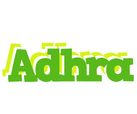 Adhra picnic logo