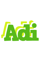 Adi picnic logo