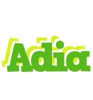 Adia picnic logo