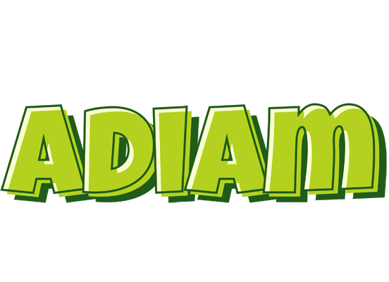 Adiam summer logo