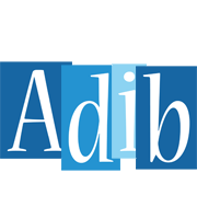 Adib winter logo