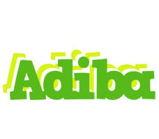 Adiba picnic logo