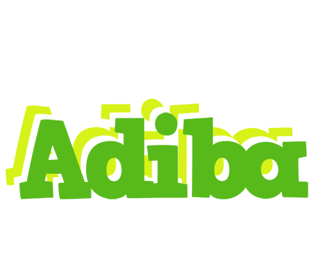 Adiba picnic logo