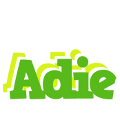 Adie picnic logo