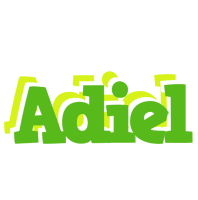 Adiel picnic logo