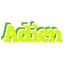 Adien citrus logo