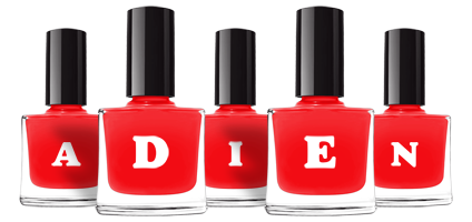 Adien fashion logo