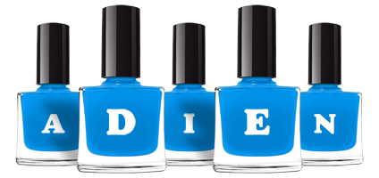 Adien glossy logo