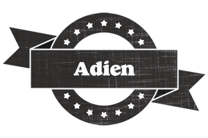 Adien grunge logo