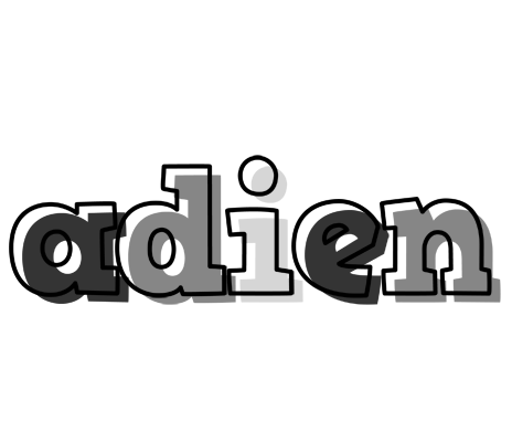 Adien night logo