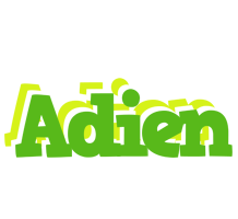 Adien picnic logo