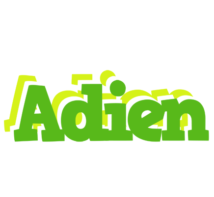 Adien picnic logo