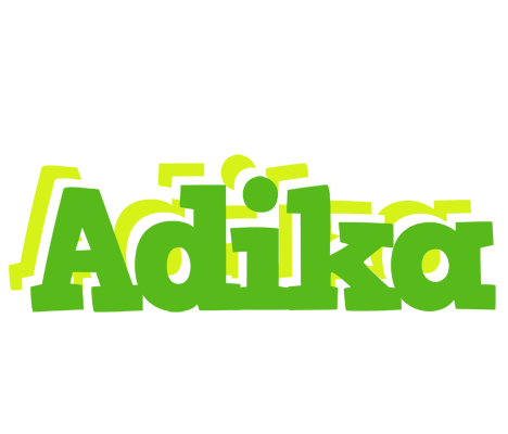 Adika picnic logo