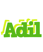 Adil picnic logo