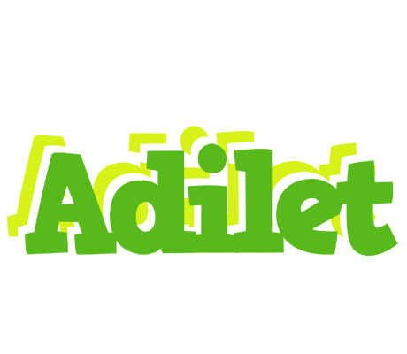 Adilet picnic logo