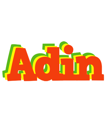Adin bbq logo