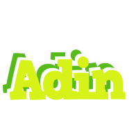 Adin citrus logo