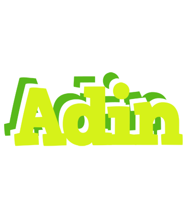 Adin citrus logo
