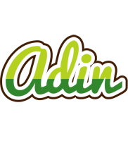 Adin golfing logo