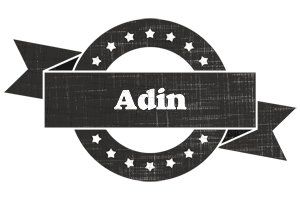 Adin grunge logo