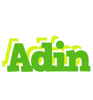 Adin picnic logo