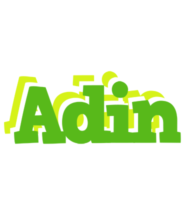 Adin picnic logo