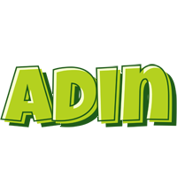 Adin summer logo