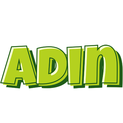 Adin summer logo