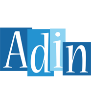 Adin winter logo