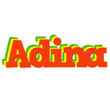 Adina bbq logo