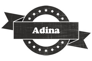 Adina grunge logo