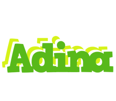 Adina picnic logo