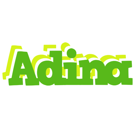 Adina picnic logo
