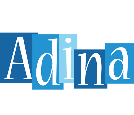 Adina winter logo