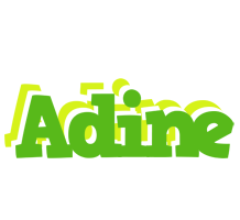 Adine picnic logo