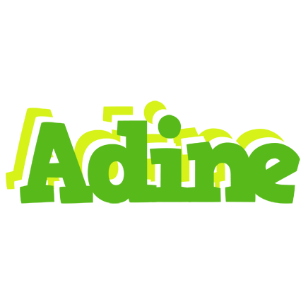 Adine picnic logo
