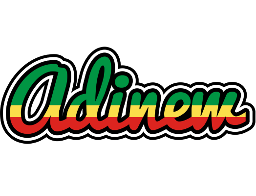 Adinew african logo