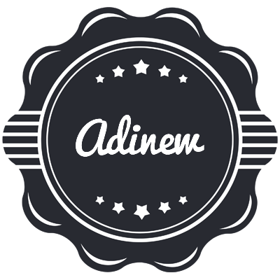 Adinew badge logo