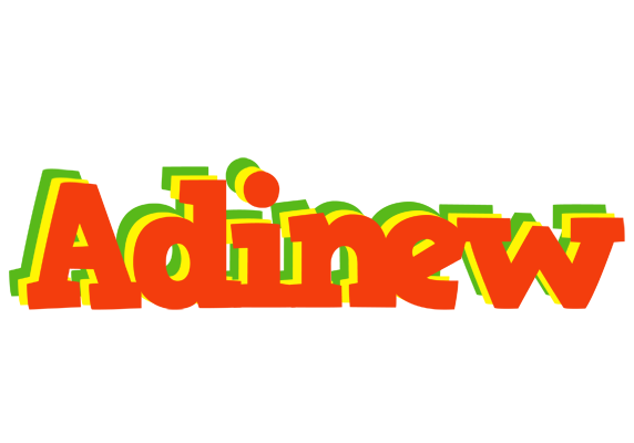 Adinew bbq logo
