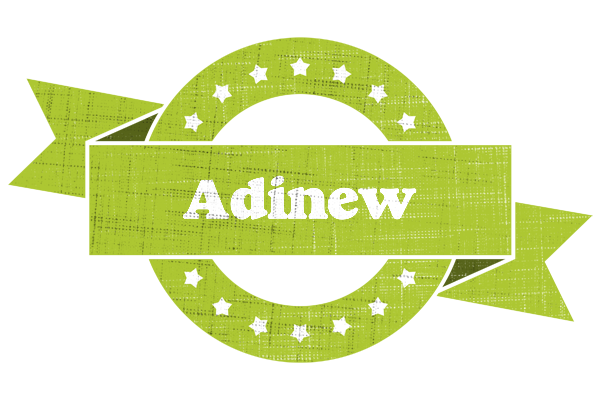 Adinew change logo