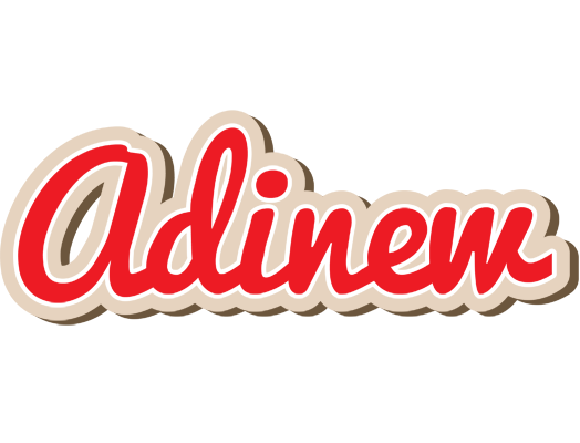 Adinew chocolate logo