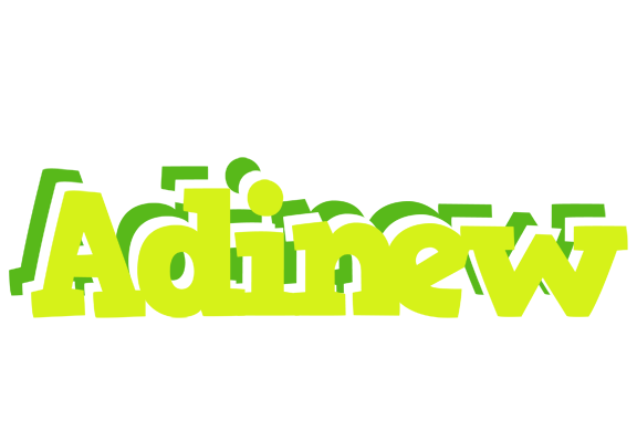 Adinew citrus logo