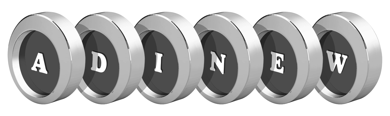 Adinew coins logo
