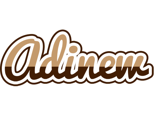 Adinew exclusive logo